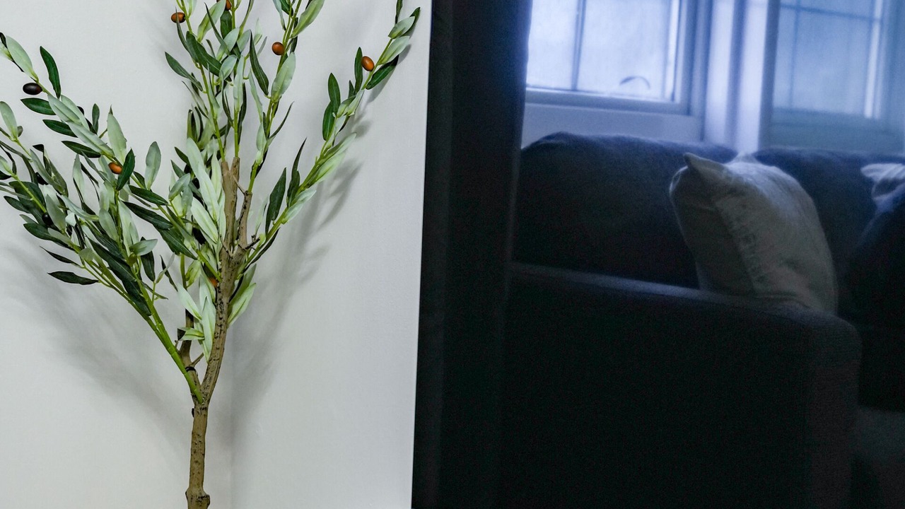 Photo of Livingroom in Livingston