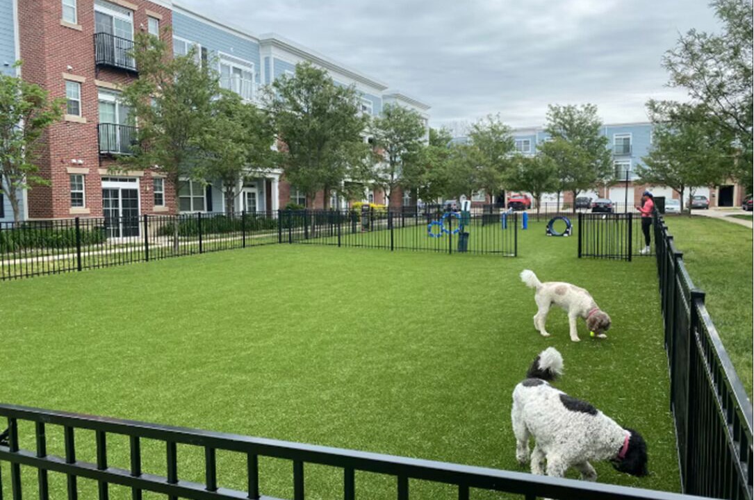 Photo of Outdoor in Indianapolis