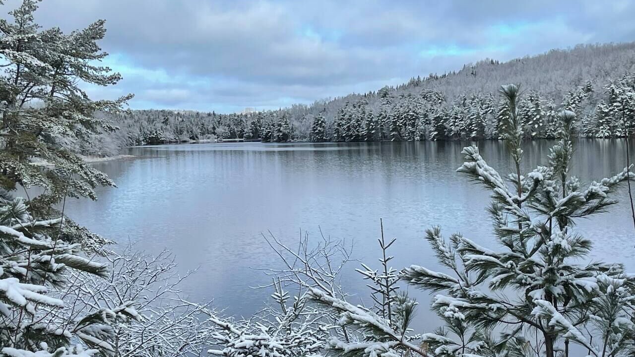 Photo of Others in Lunenburg County