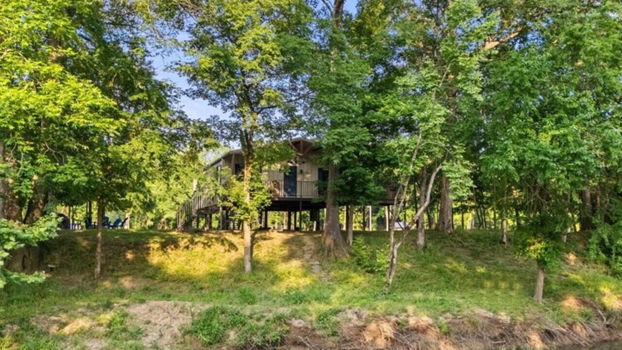 Photo of Outdoor in Golden