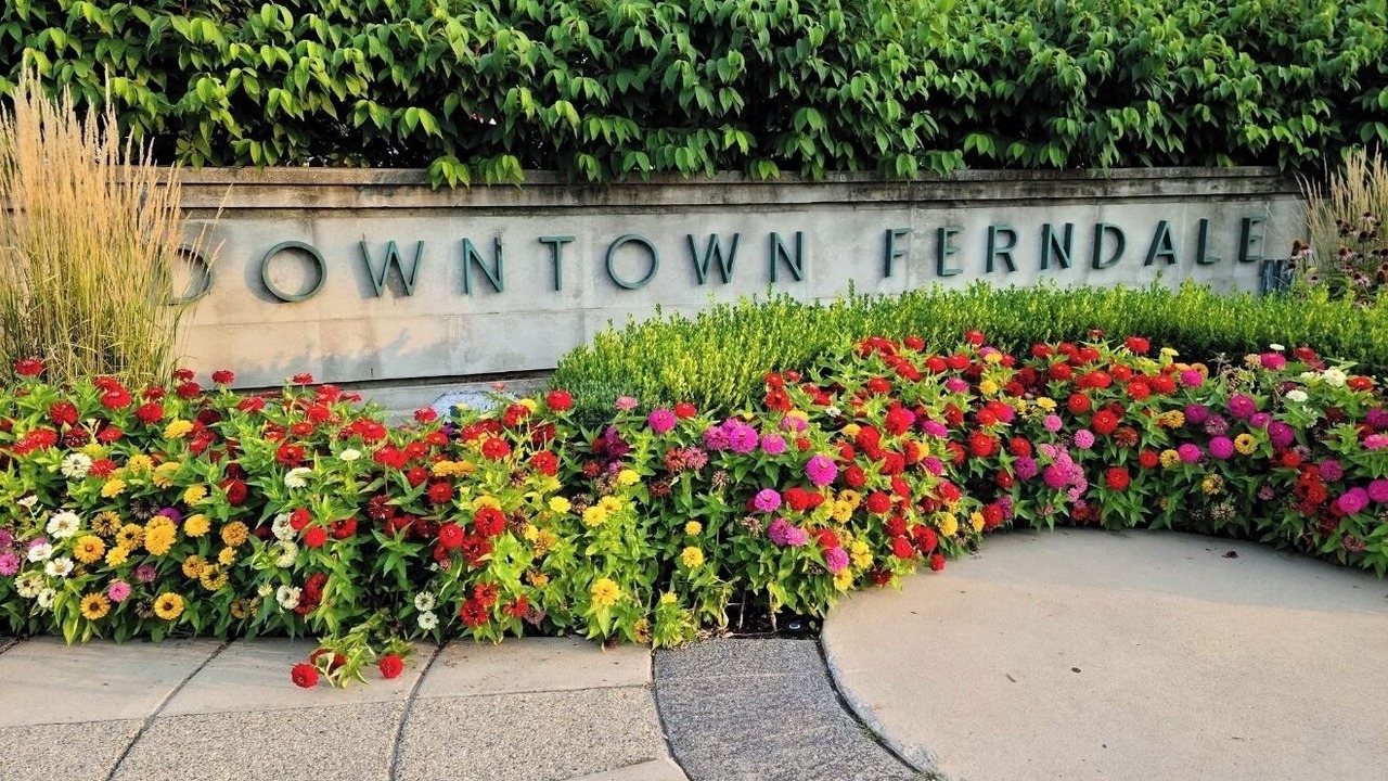 Photo of Outdoor in Ferndale