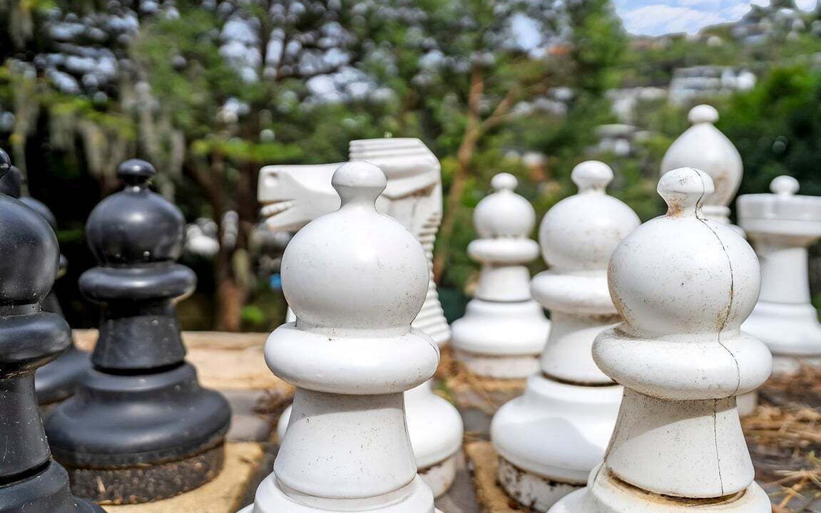 Photo of Others in North Avoca