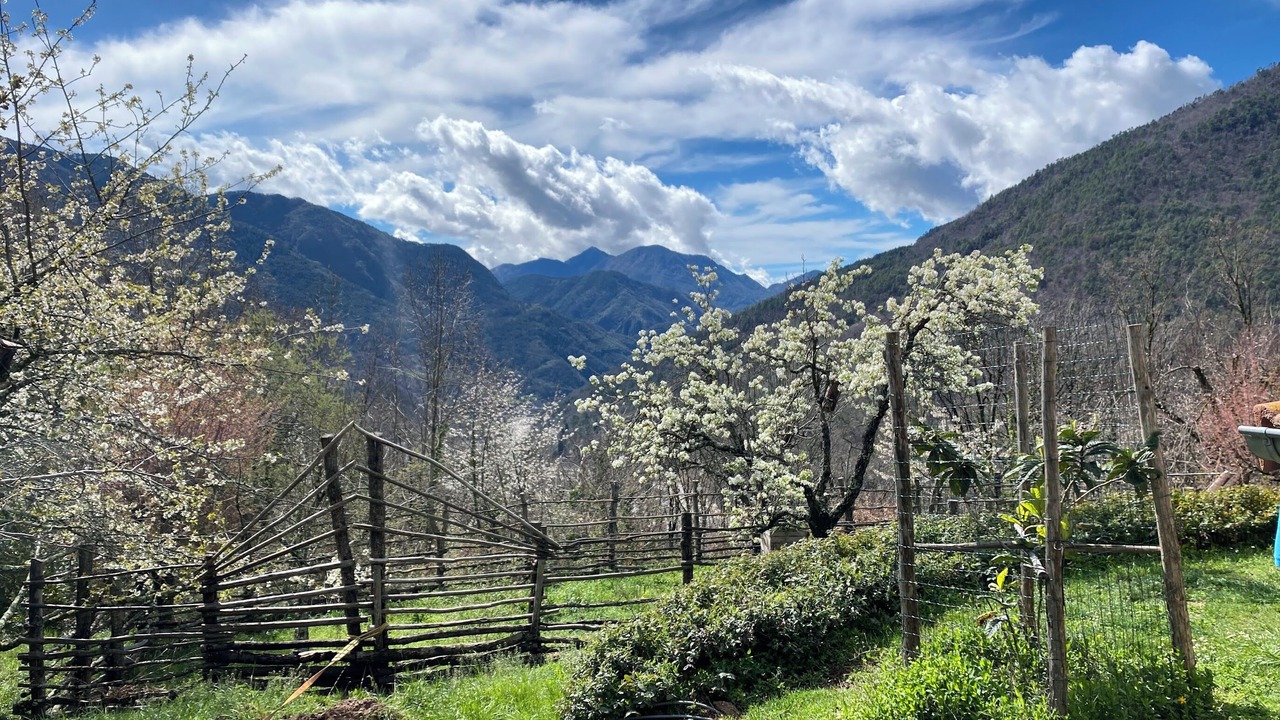 Photo of Outdoor in La Bollene-Vesubie