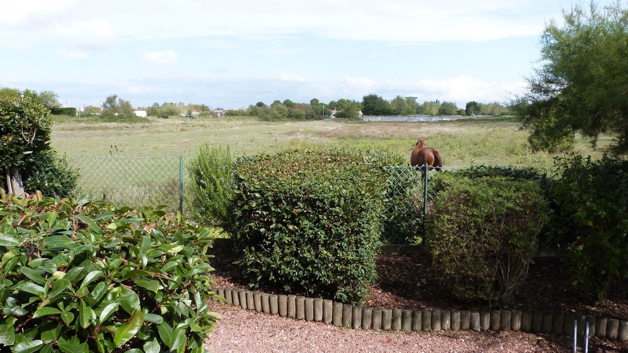 Photo of Outdoor in La Tranche-sur-Mer