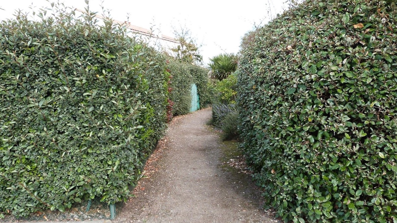 Photo of Outdoor in La Tranche-sur-Mer