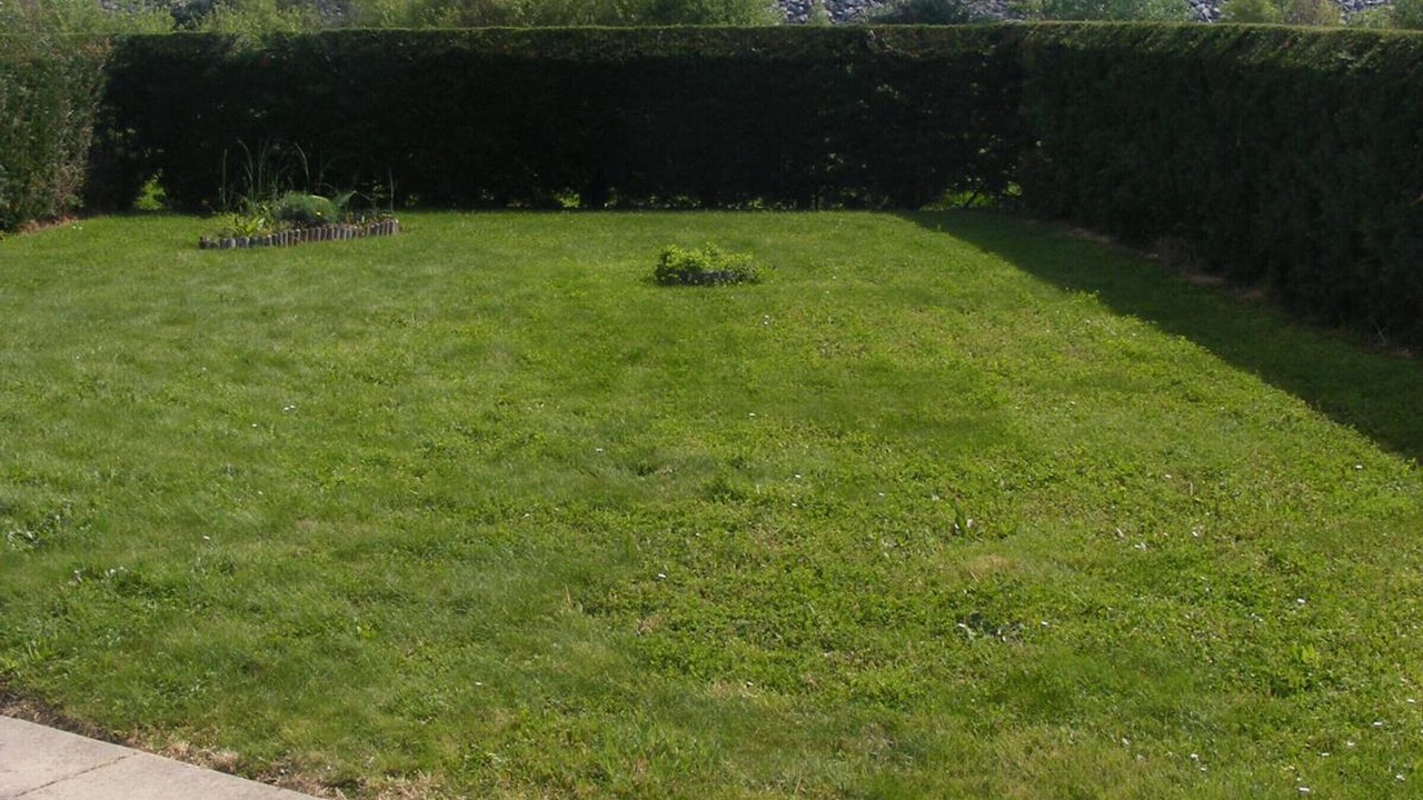 Photo of Outdoor in La Faute-sur-Mer