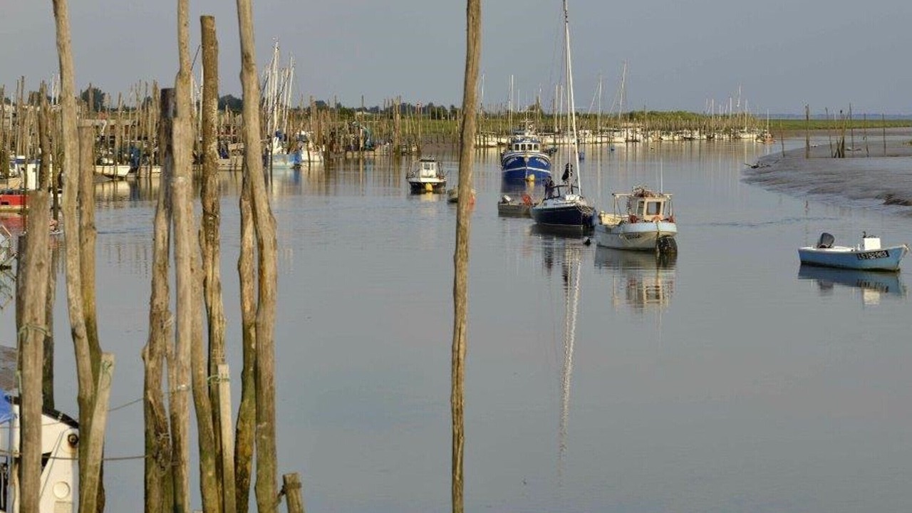 Photo of Others in La Faute-sur-Mer