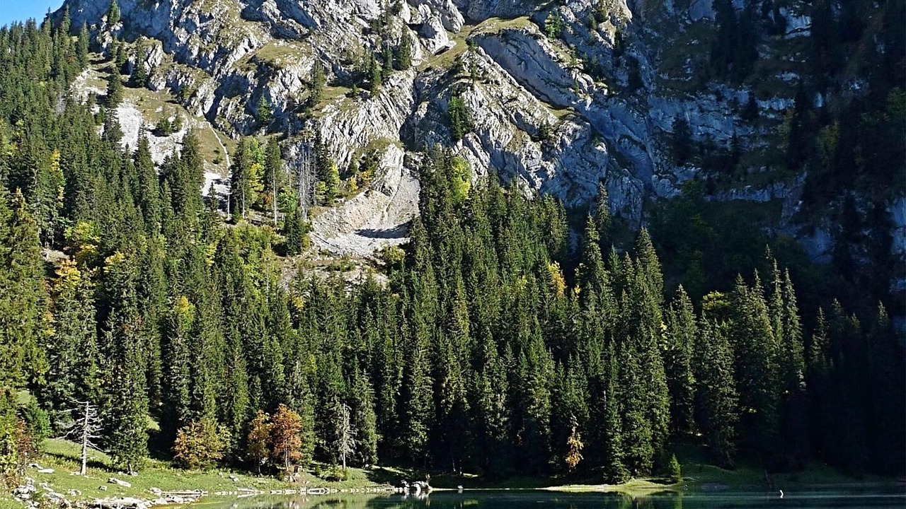 Photo of Others in Axalp