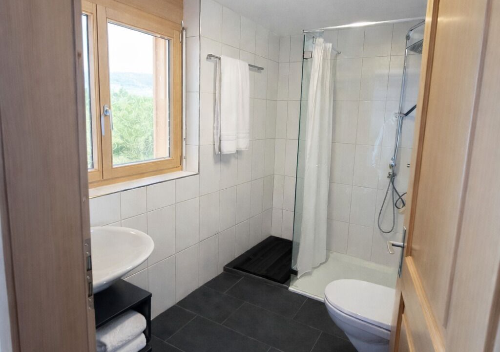 Photo of Bathroom in Axalp