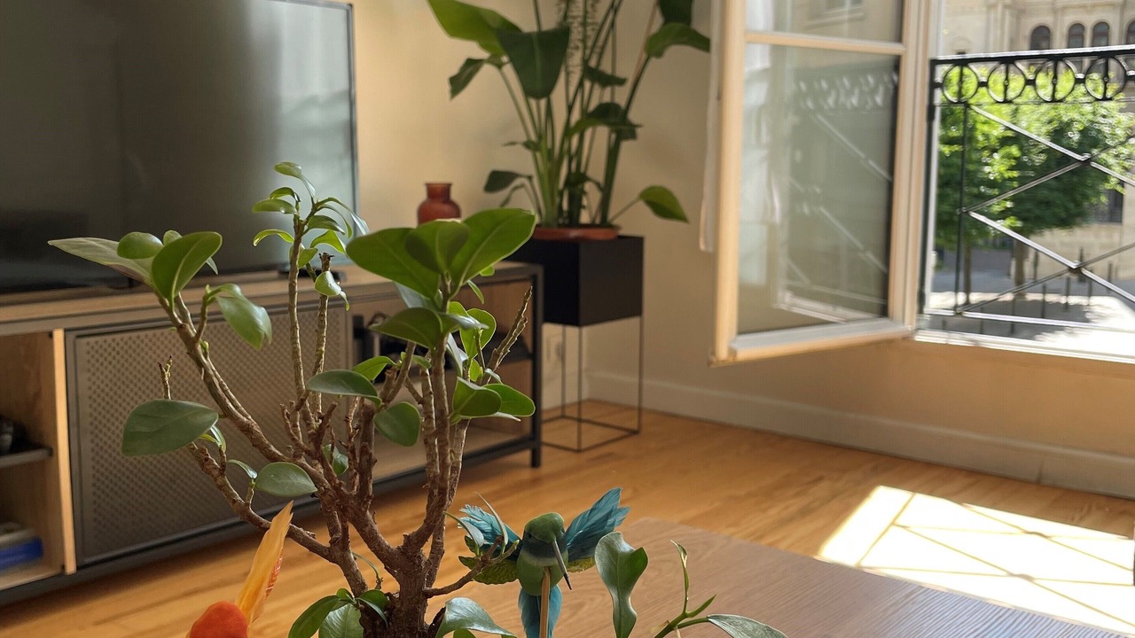 Photo of Others in Bourgogne