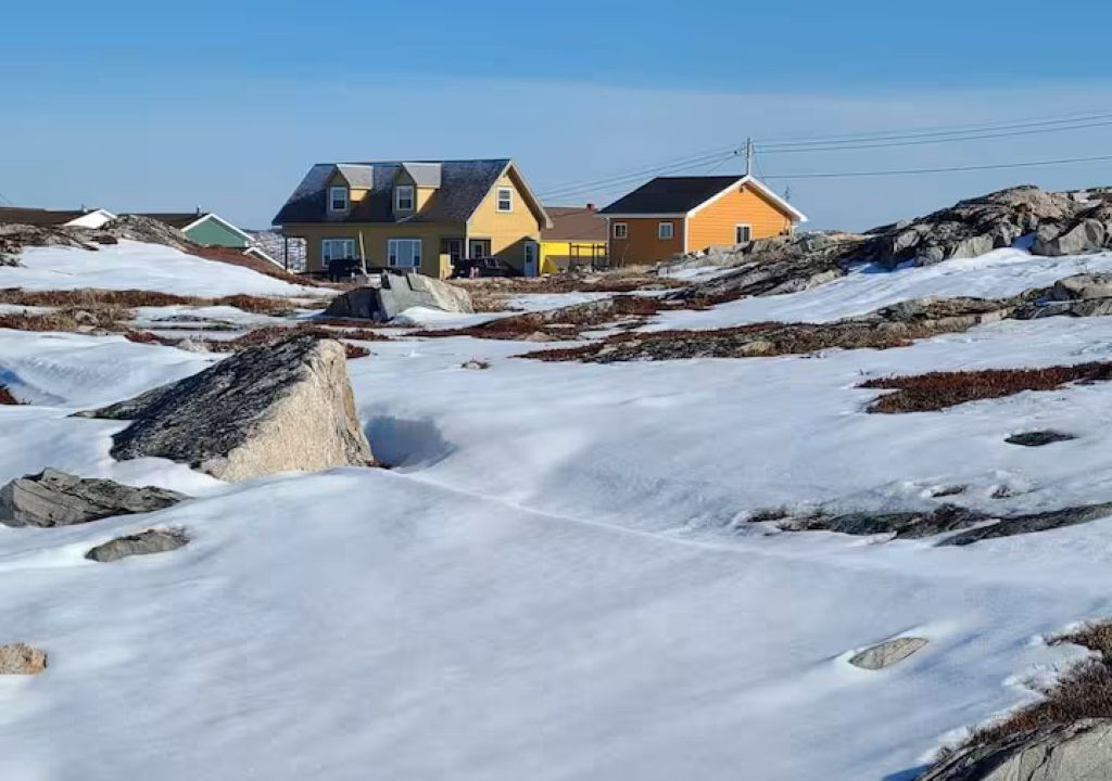 Photo of Others in Joe Batt's Arm