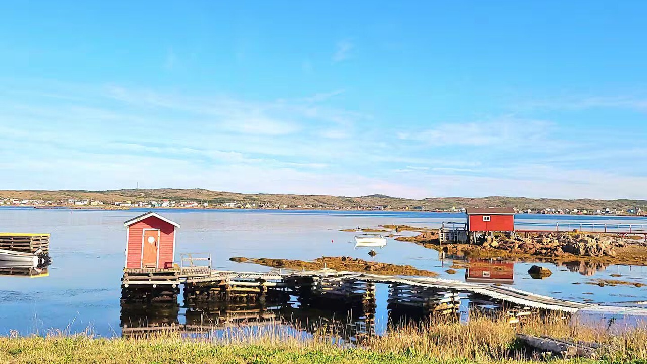 Photo of Others in Joe Batt's Arm
