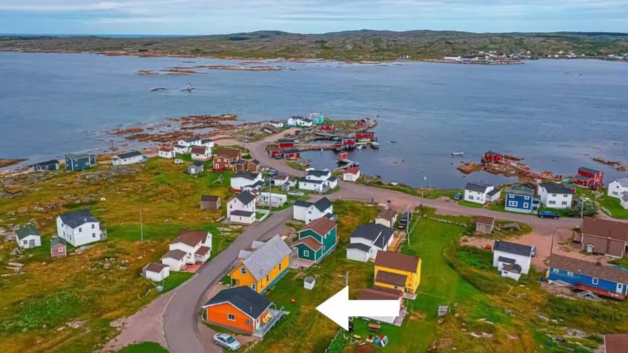 Photo of Outdoor in Joe Batt's Arm
