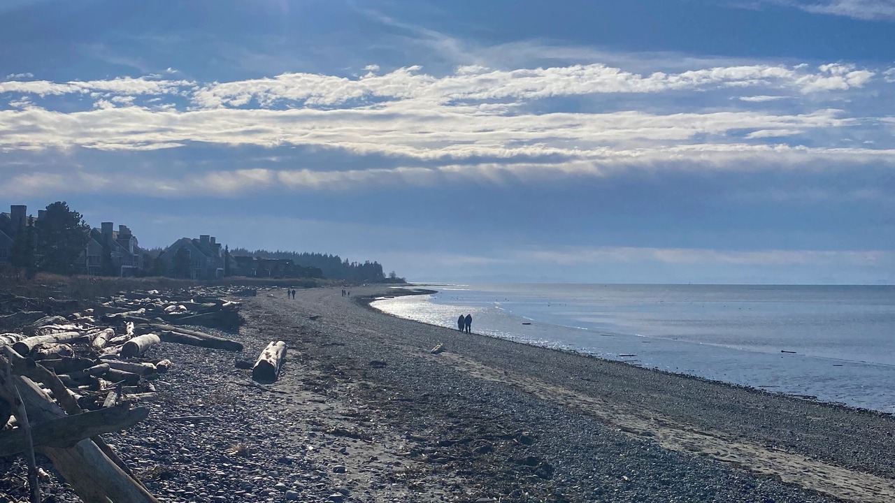 Photo of Others in Birch Bay