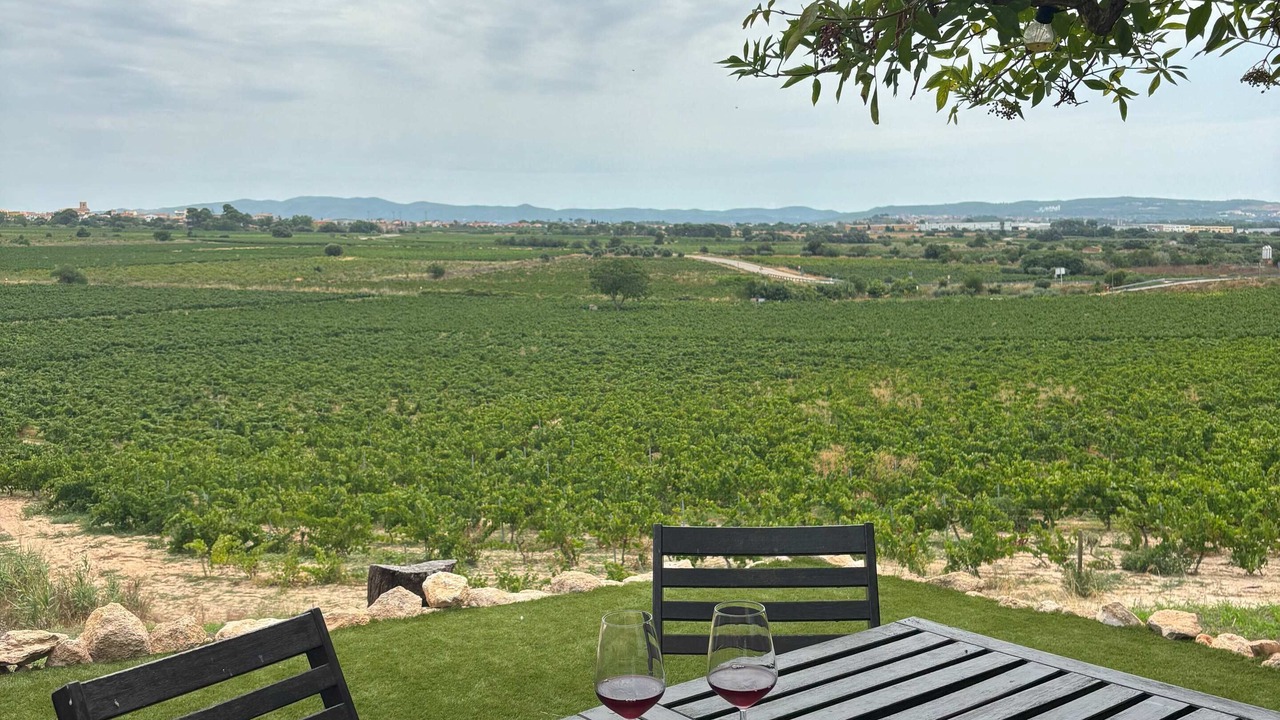 Photo of Outdoor in Sant Jaume dels Domenys