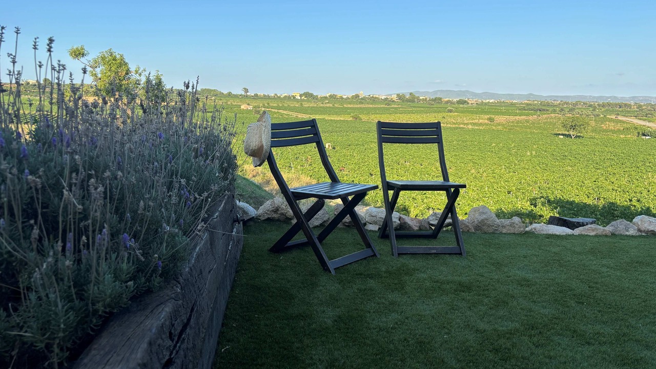 Photo of Outdoor in Sant Jaume dels Domenys