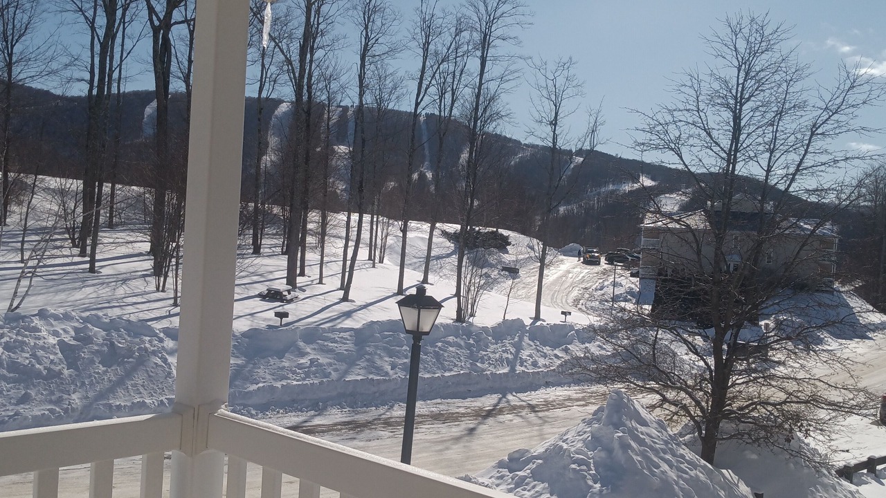 Photo of Outdoor in Williamstown