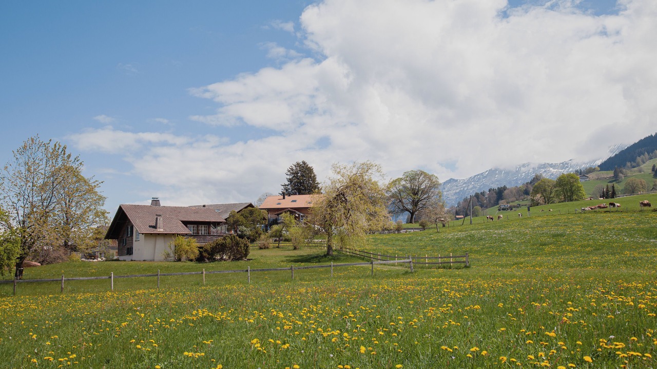 Photo of Outdoor in Aeschiried