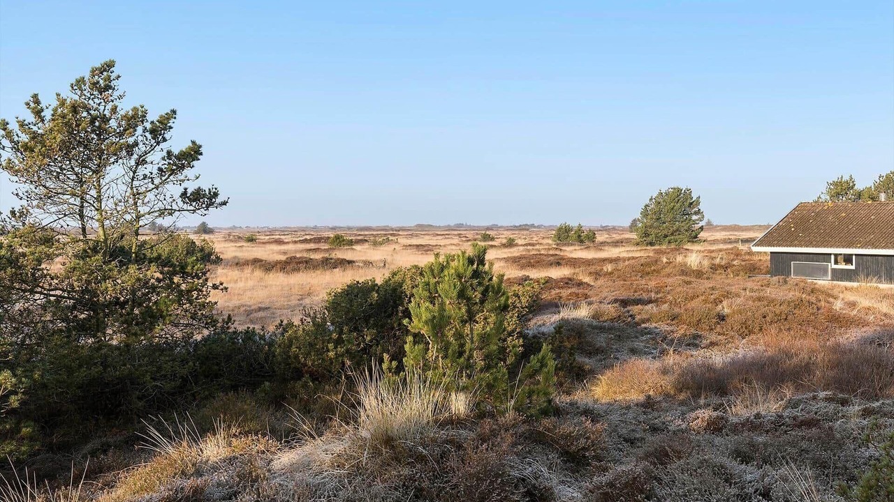 Photo of Others in Havneby