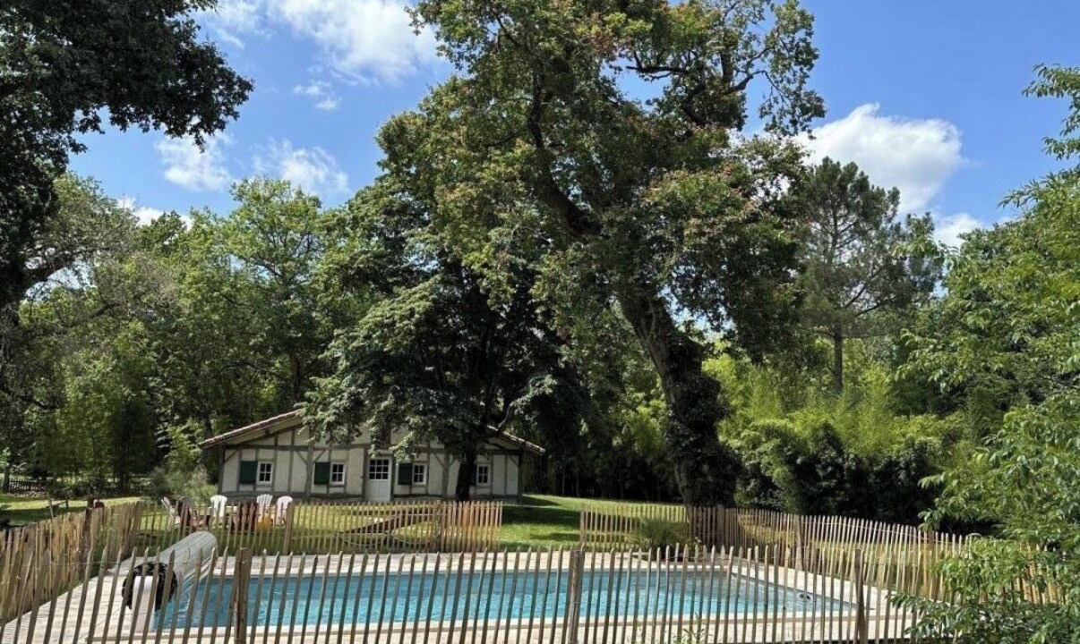 Photo of Outdoor in Sabres