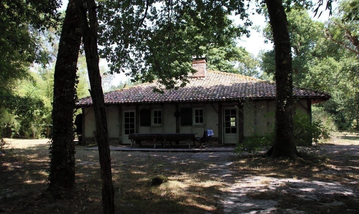 Photo of Outdoor in Sabres