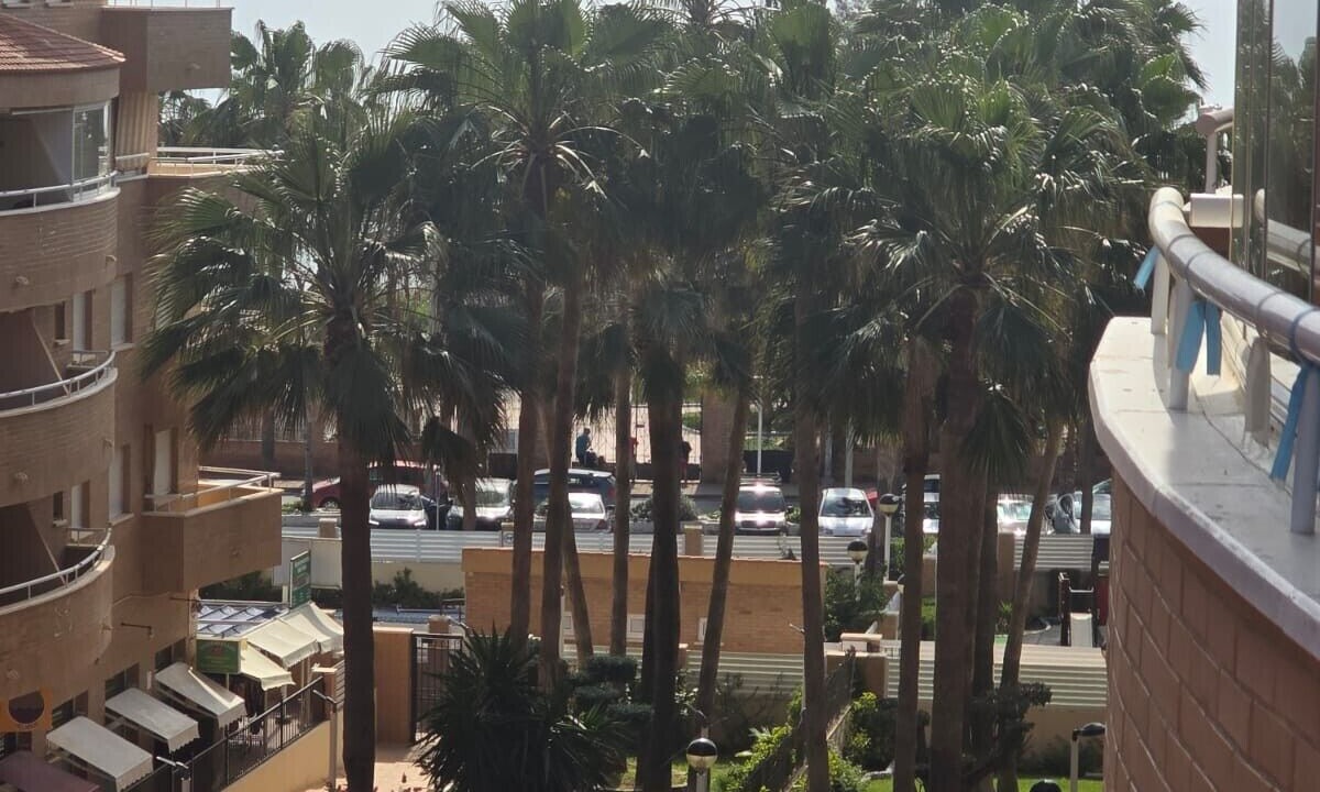 Photo of Others in Marina d'Or