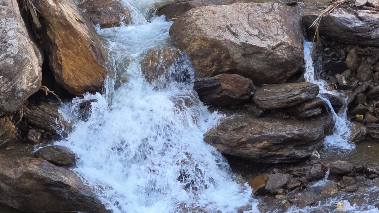 Photo of Others in Cattail Creek