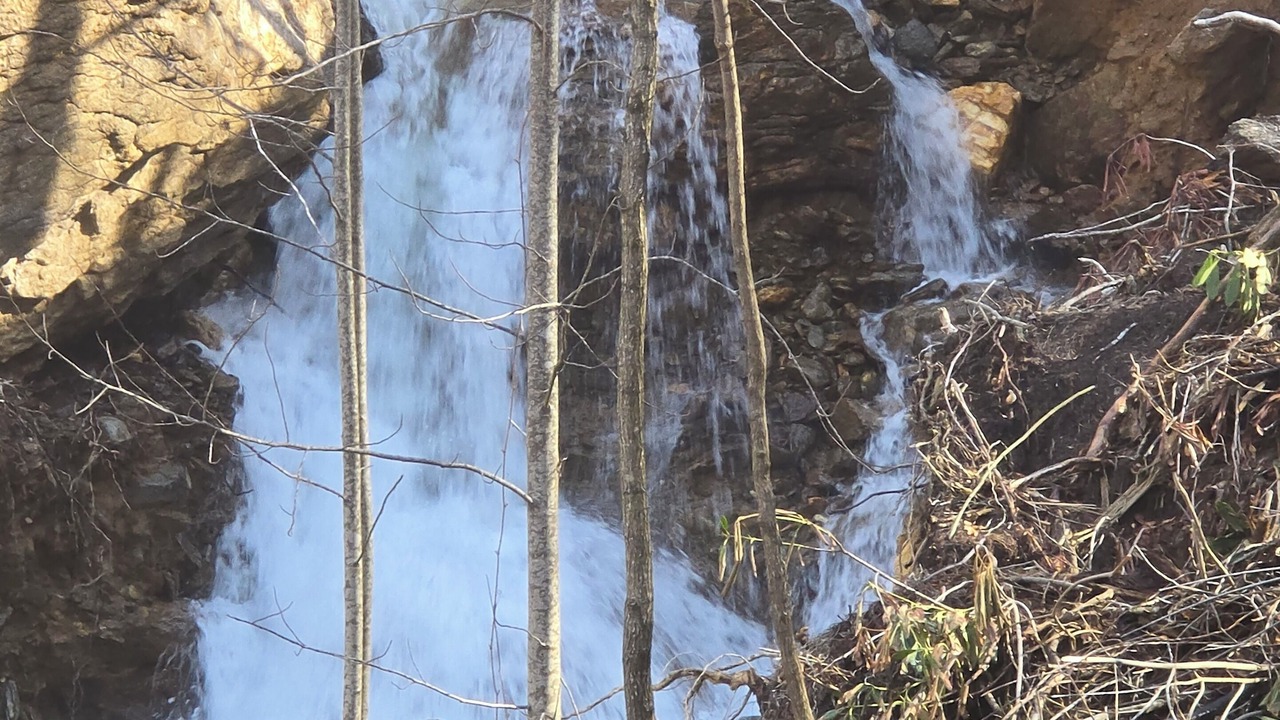 Photo of Others in Cattail Creek