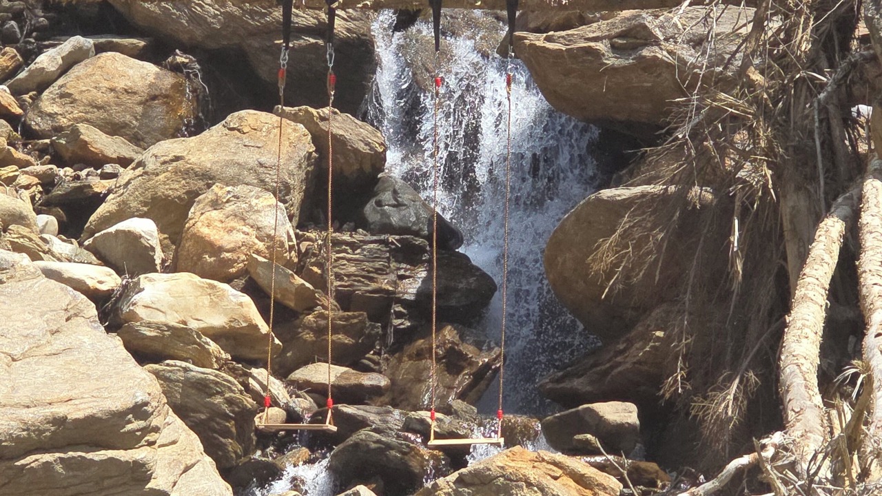 Photo of Others in Cattail Creek