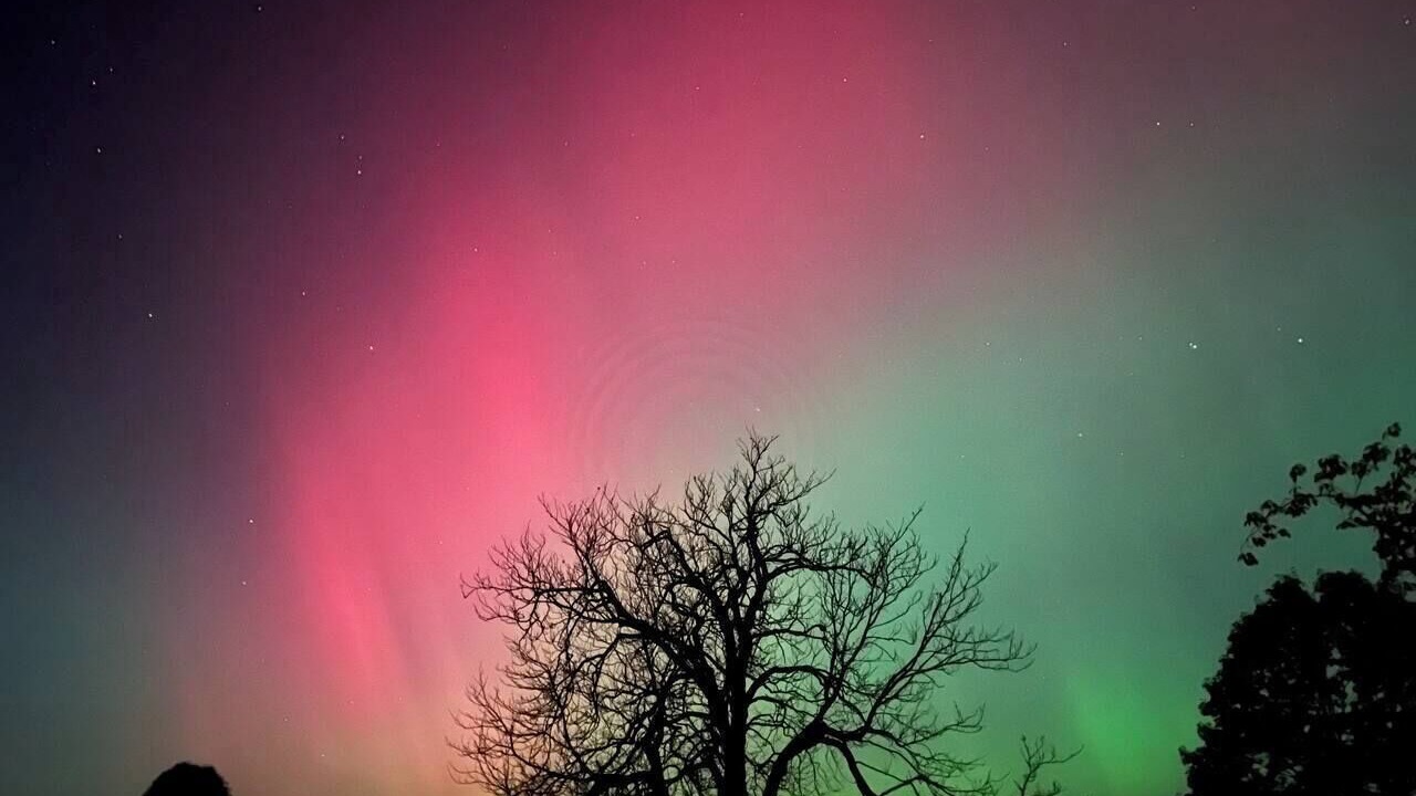 Photo of Others in Whixley