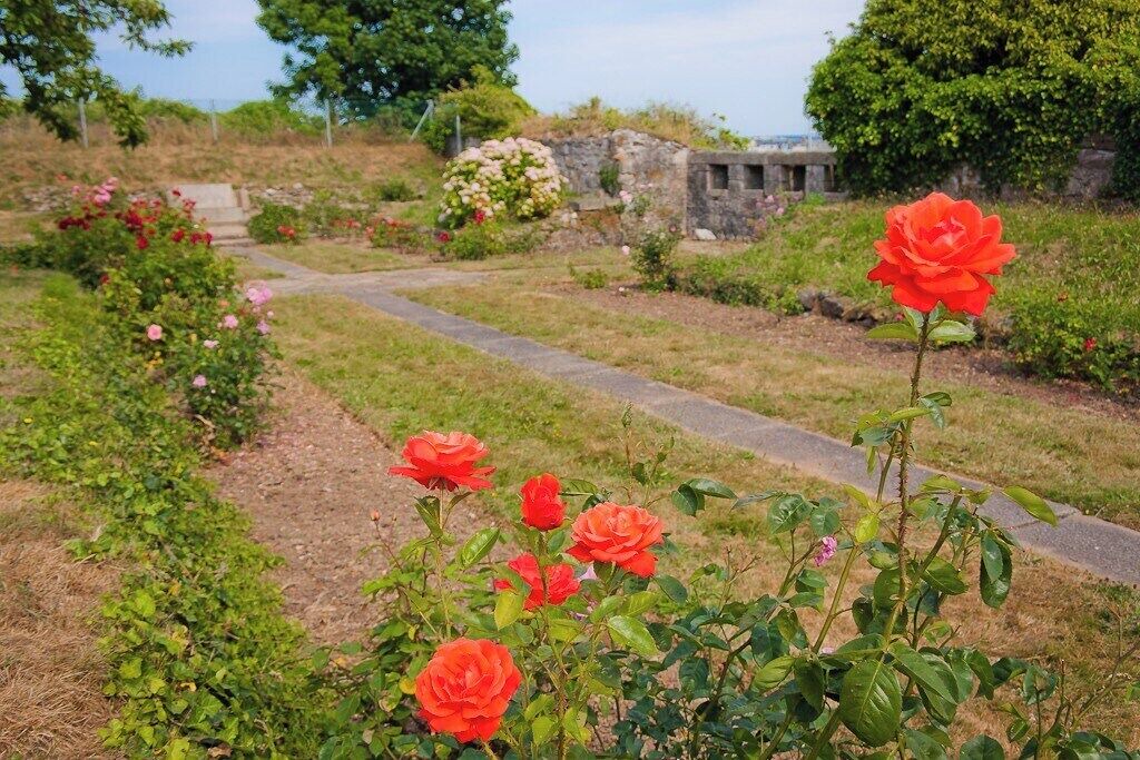 Photo of Outdoor in Devonport