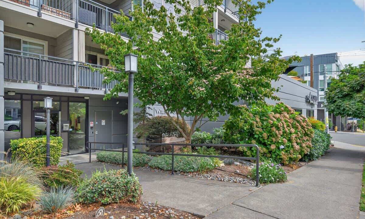Photo of Others in Lower Queen Anne