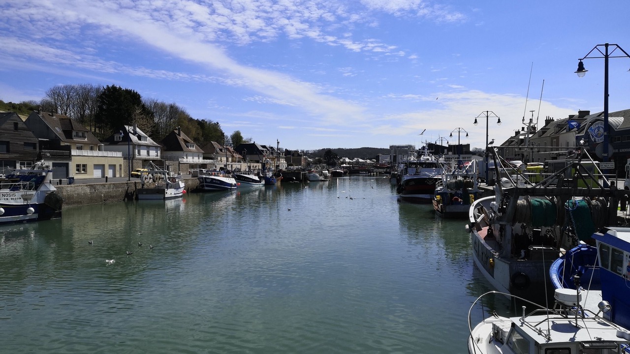 Photo of Others in Tracy-sur-Mer