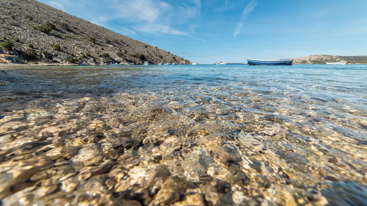 Photo of Others in Ustrine