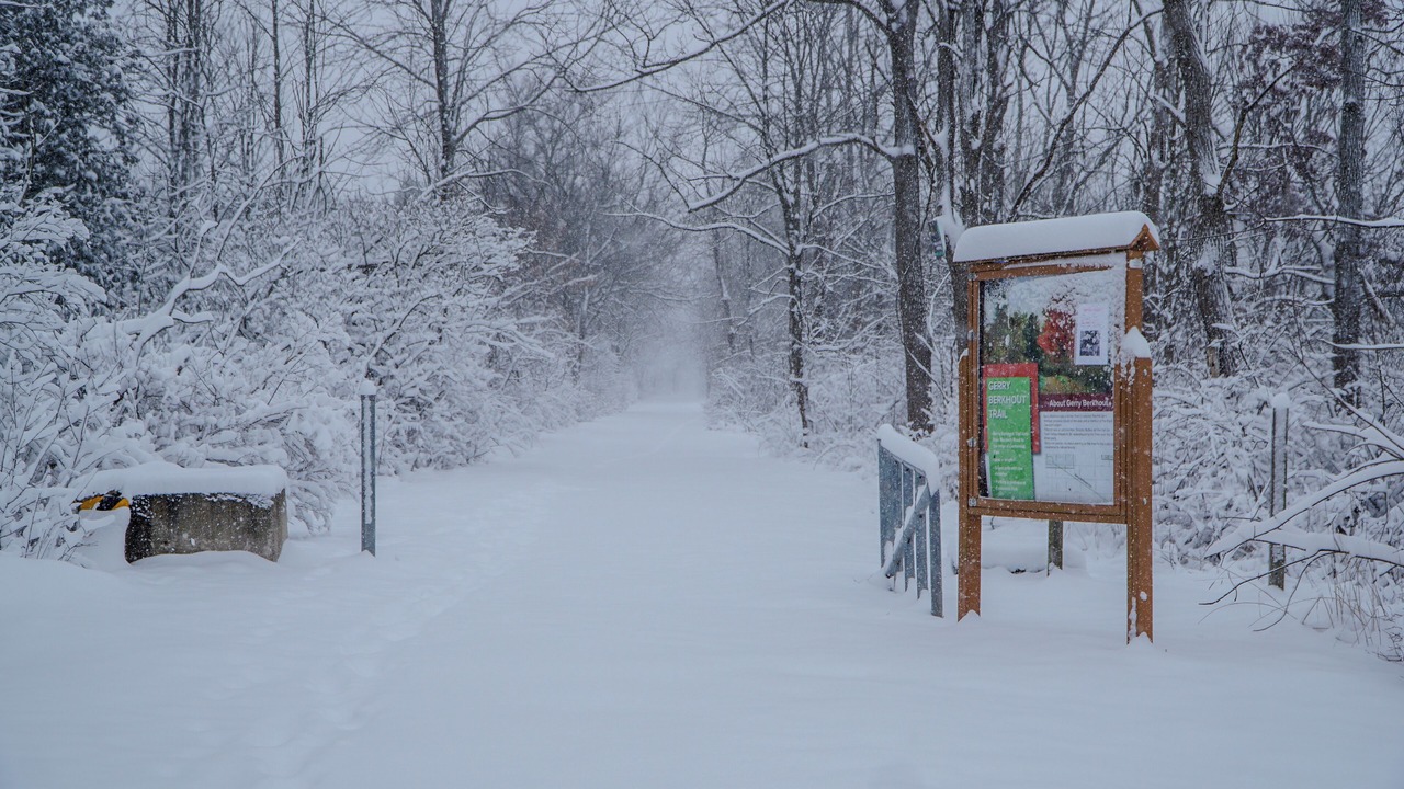 Photo of Others in Pelham