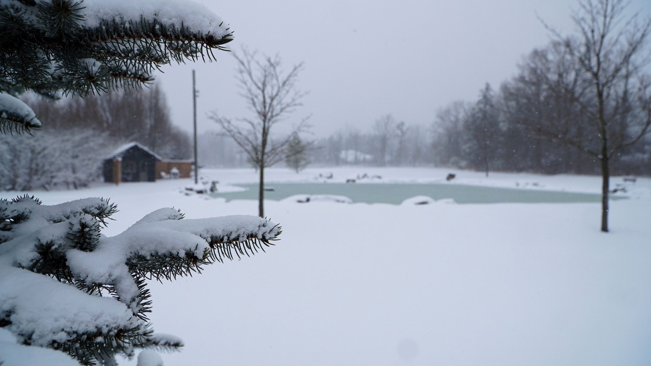 Photo of Outdoor in Pelham