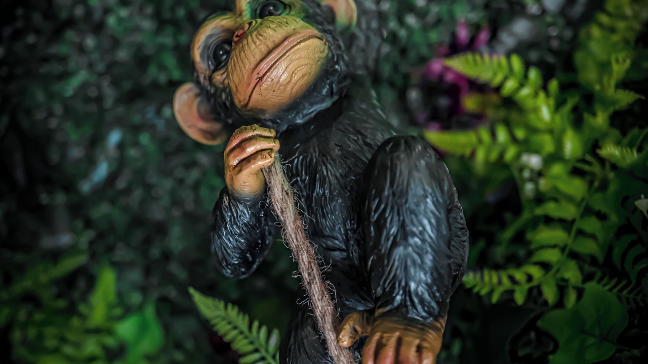 Photo of Others in Albertville