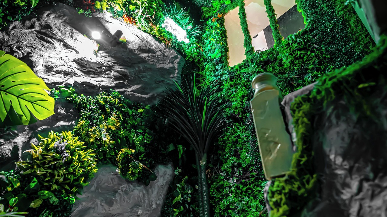 Photo of Outdoor in Albertville