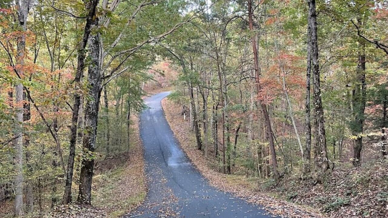 Photo of Others in Dahlonega