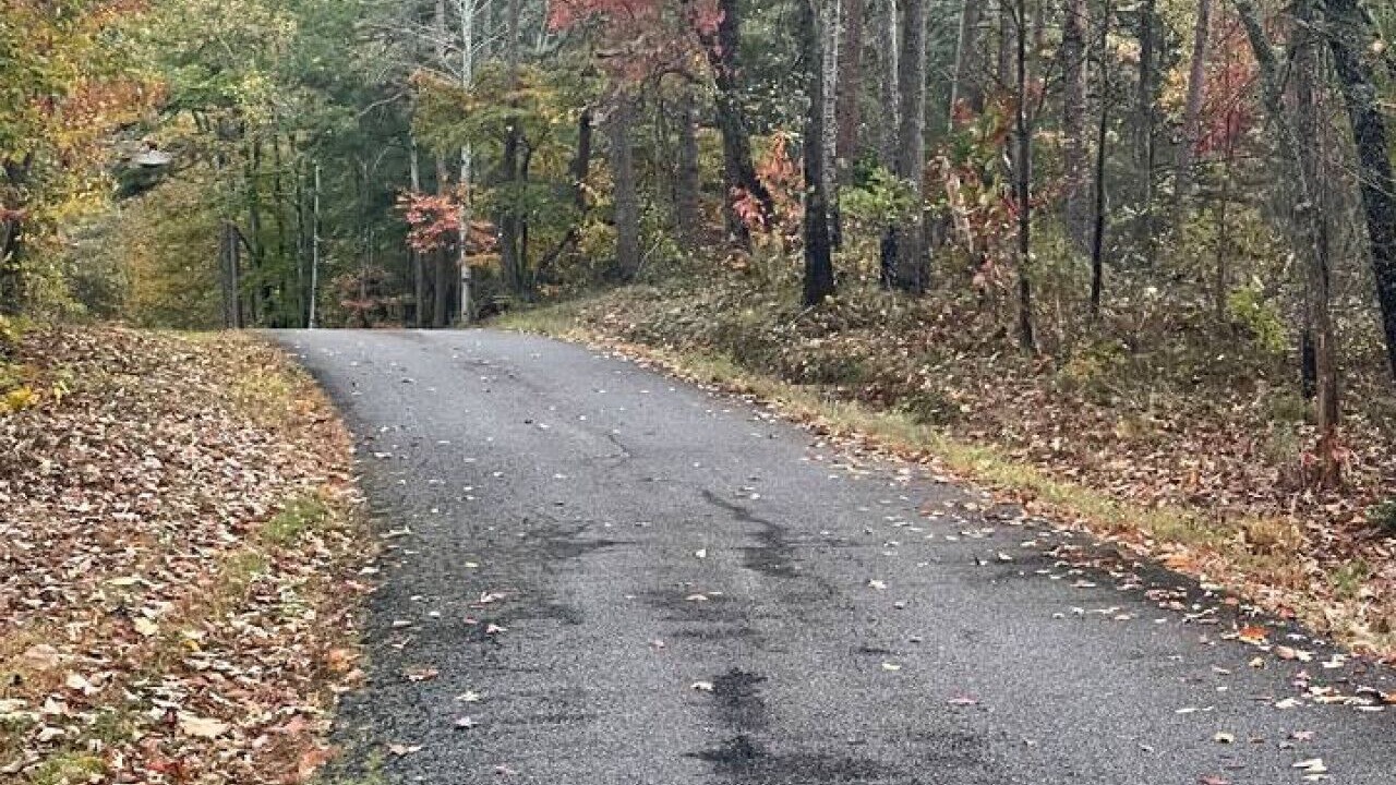 Photo of Others in Dahlonega