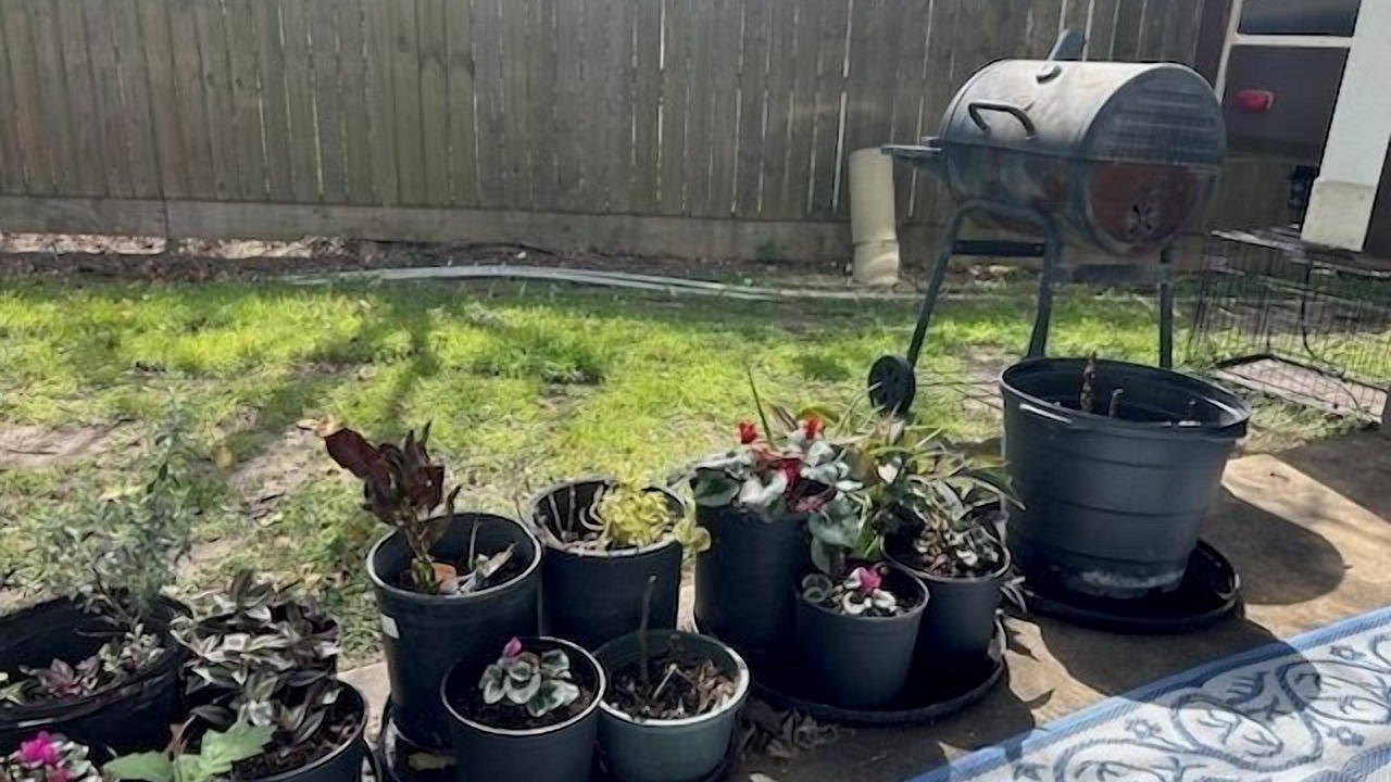 Photo of Patio Balcony in Victoria