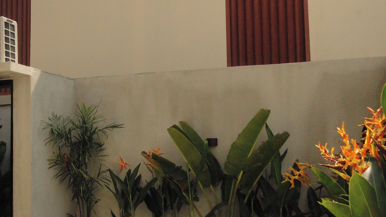 Photo of Outdoor in By Pass Ngurah Rai