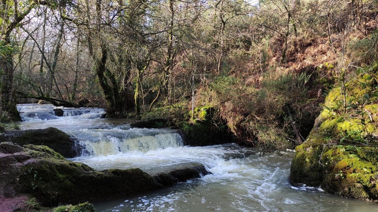 Photo of Others in Plelan-le-Grand