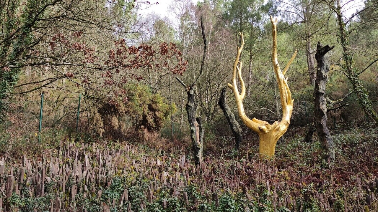 Photo of Others in Plelan-le-Grand