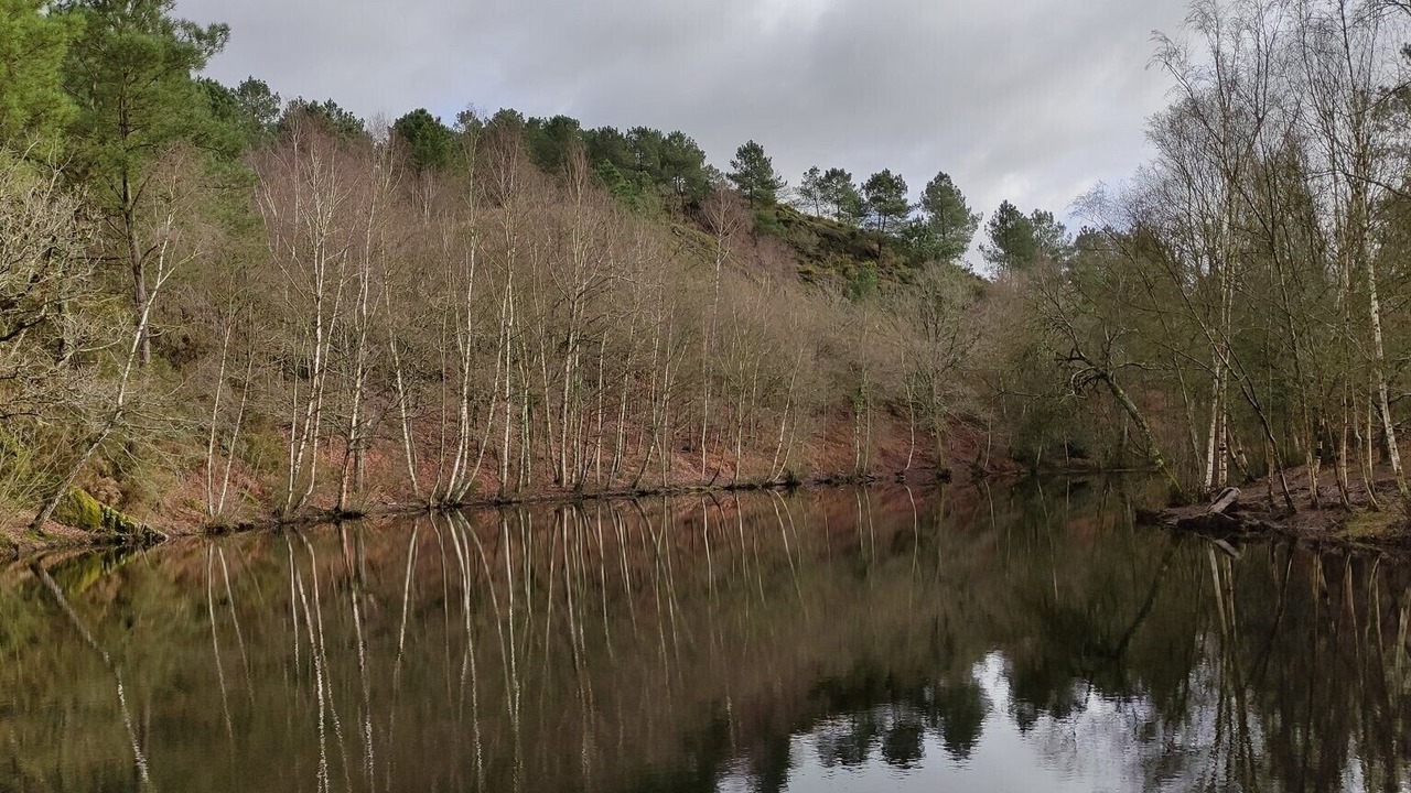 Photo of Others in Plelan-le-Grand