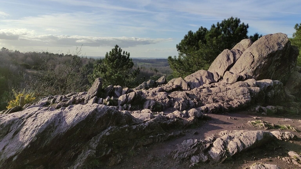 Photo of Others in Plelan-le-Grand