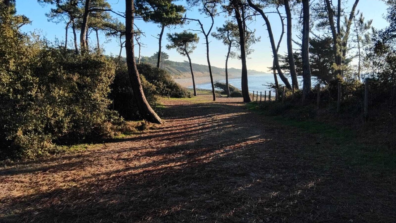 Photo of Others in Jard-sur-Mer