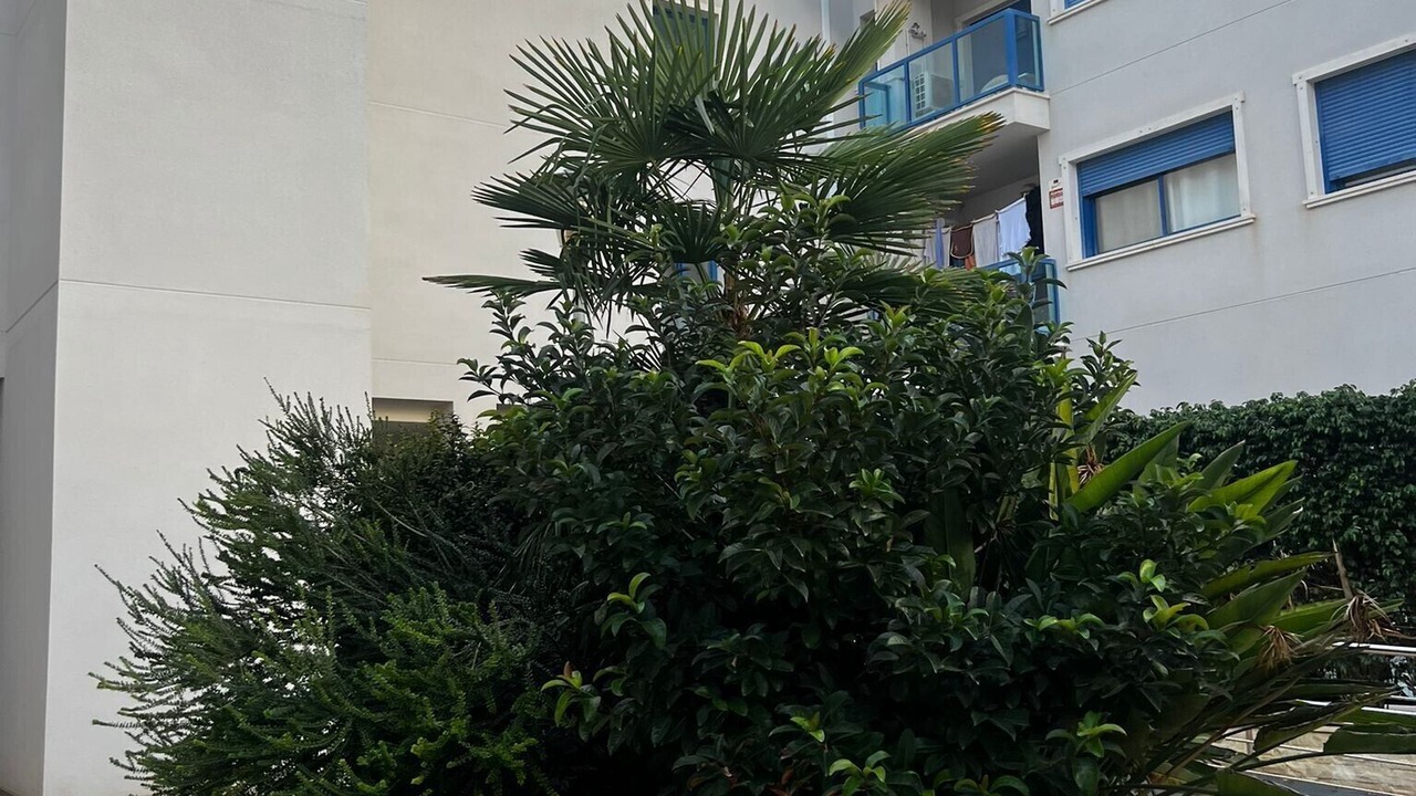 Photo of Outdoor in Alicante