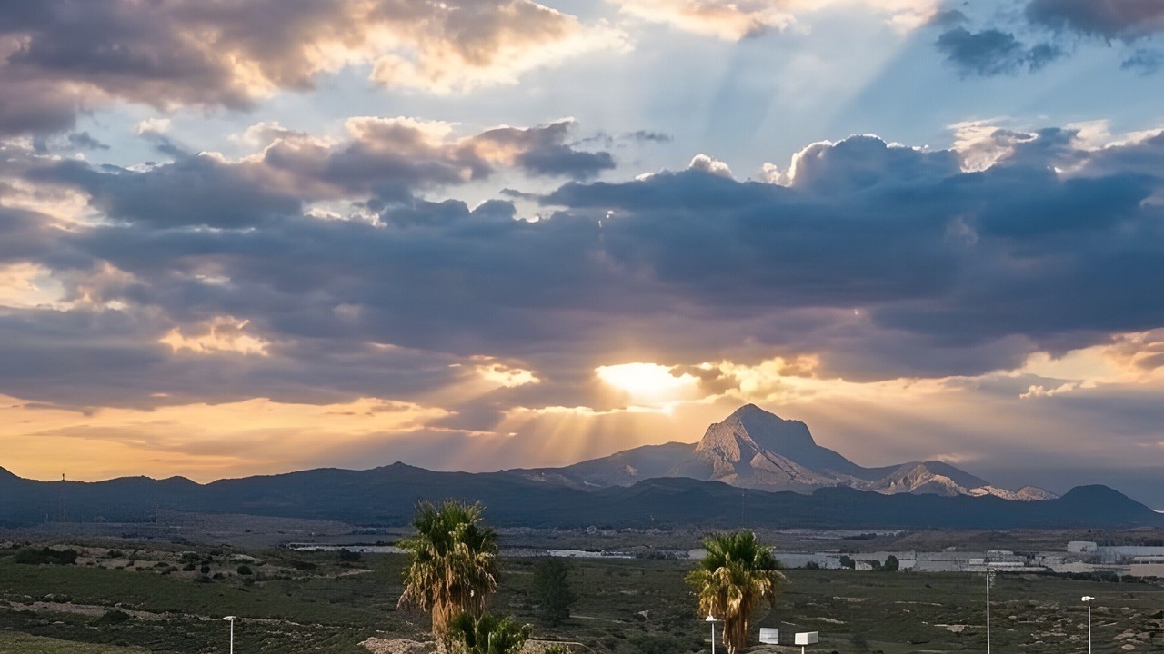 Photo of Others in Alicante