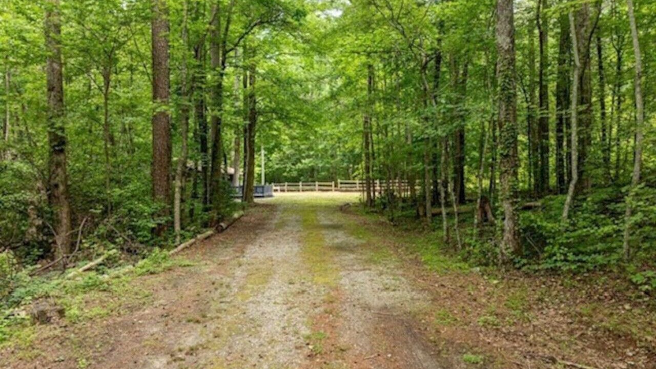 Photo of Others in Sautee Nacoochee